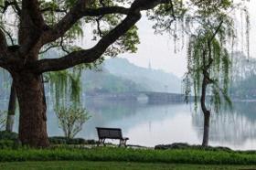 钱塘湖春行，白居易笔下的春日盛景