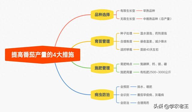 四大措施助你实现番茄高产，选种育苗施肥全攻略！